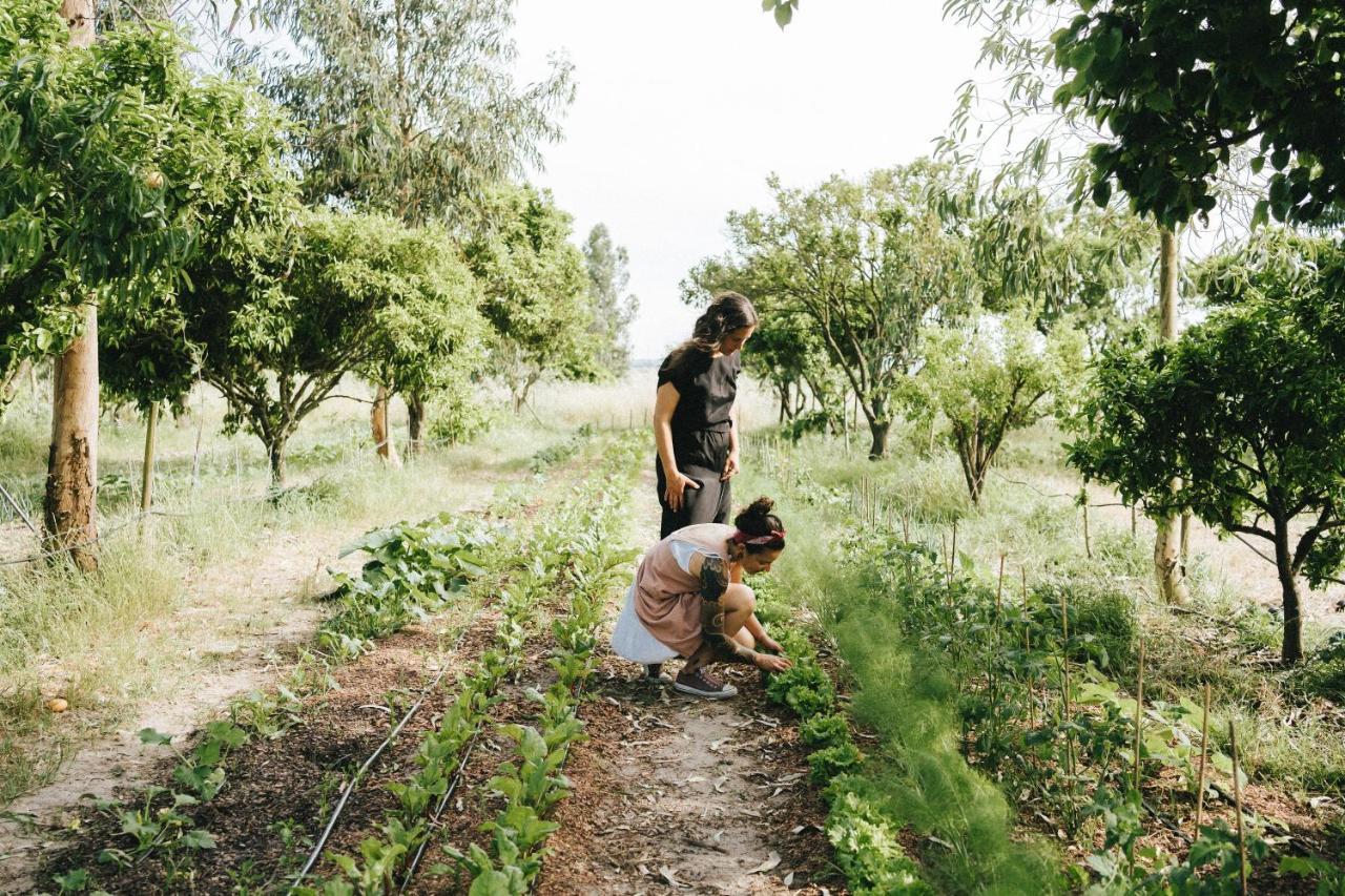 Humus Farm Villa Águas de Moura Екстериор снимка